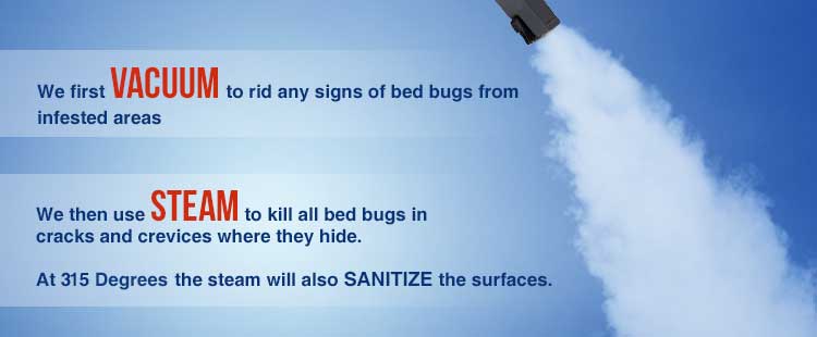 Denver Bed Bug Pest Control