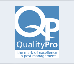 Denver Bed Bug Experts Quality Pro